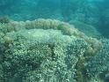 2011_Diving_the_Great_Barrier_Reef (77)